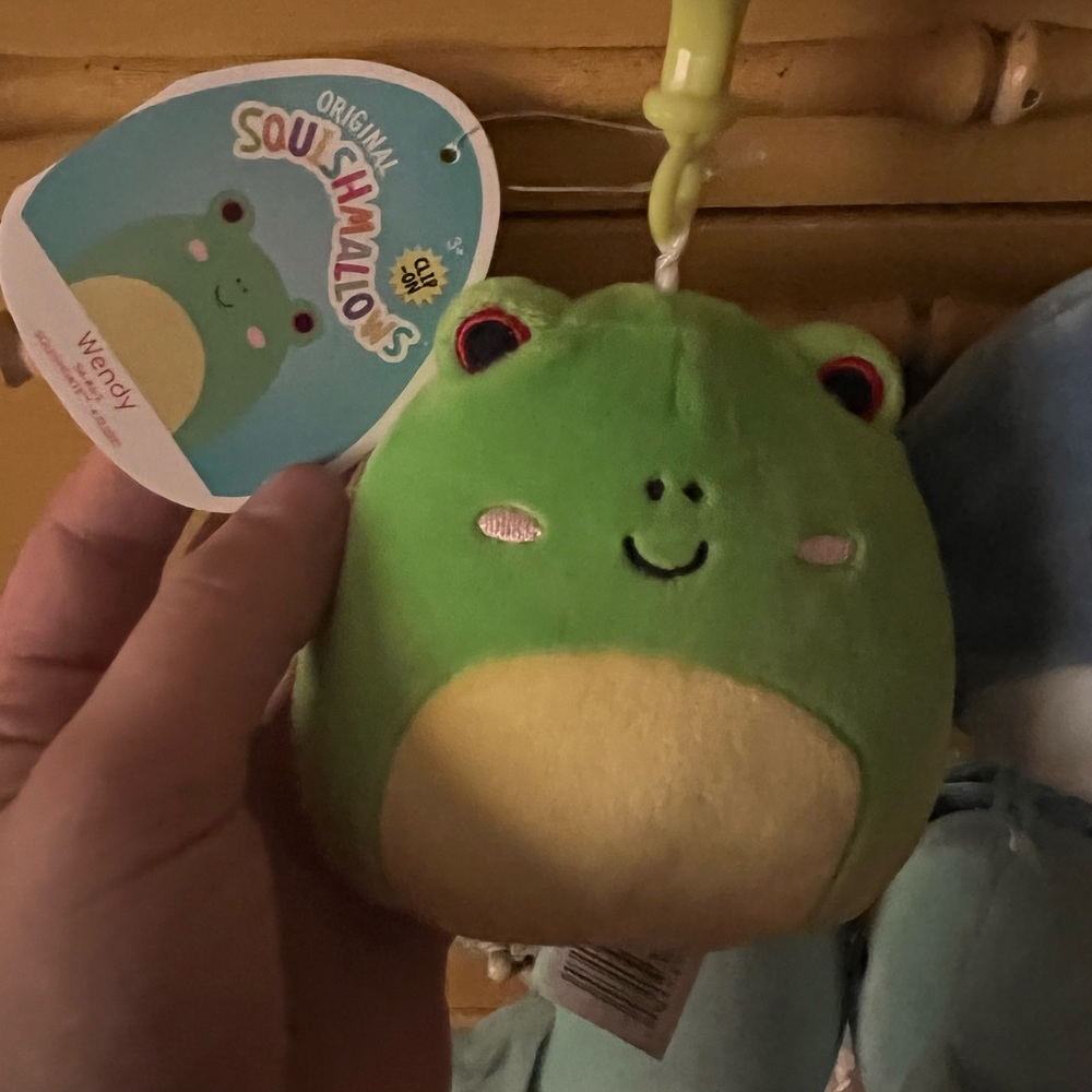 Wendy clip squishmallow